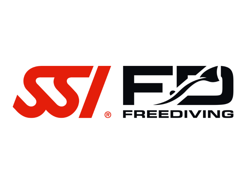 SSI FD
