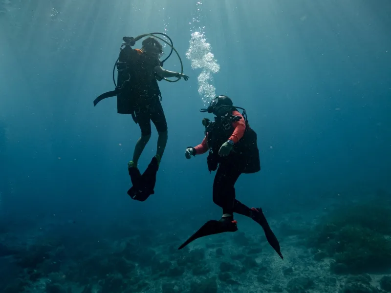 Adaptive Diving