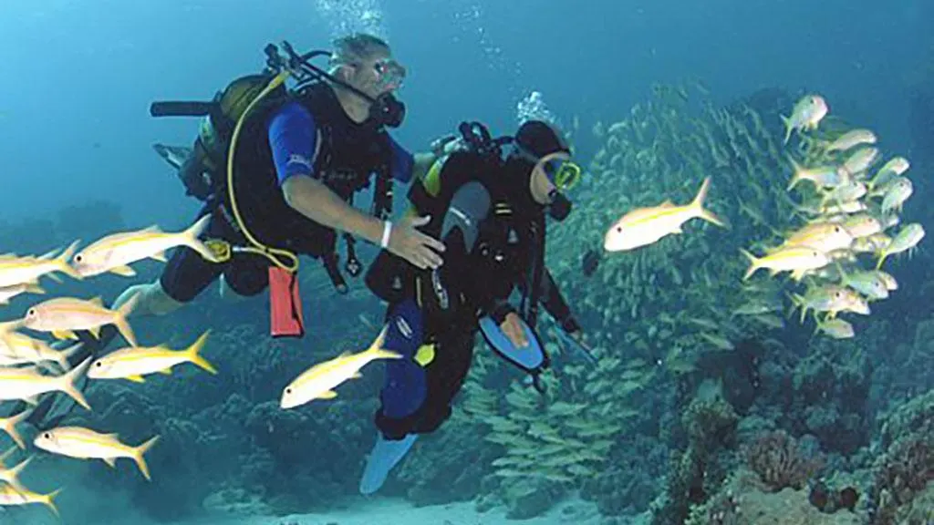 Instructor-courses
