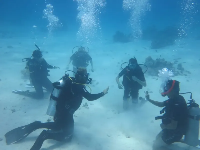 Recreational Scuba Courses
